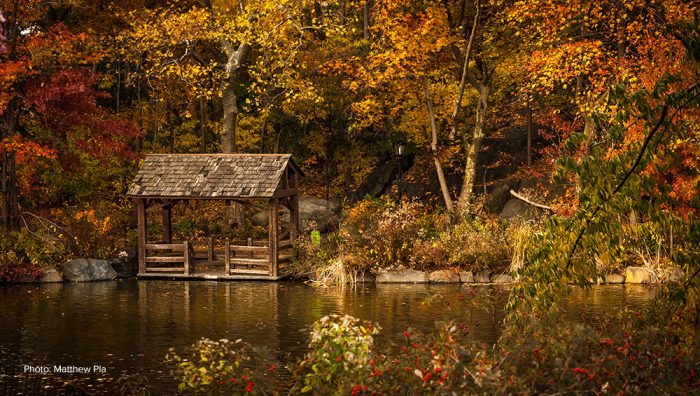 Fall Photography Gear Selections from Tether Tools